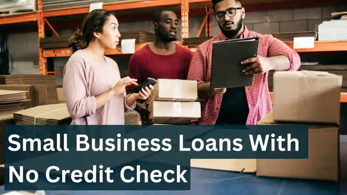 Small Business Loans With No Credit Check